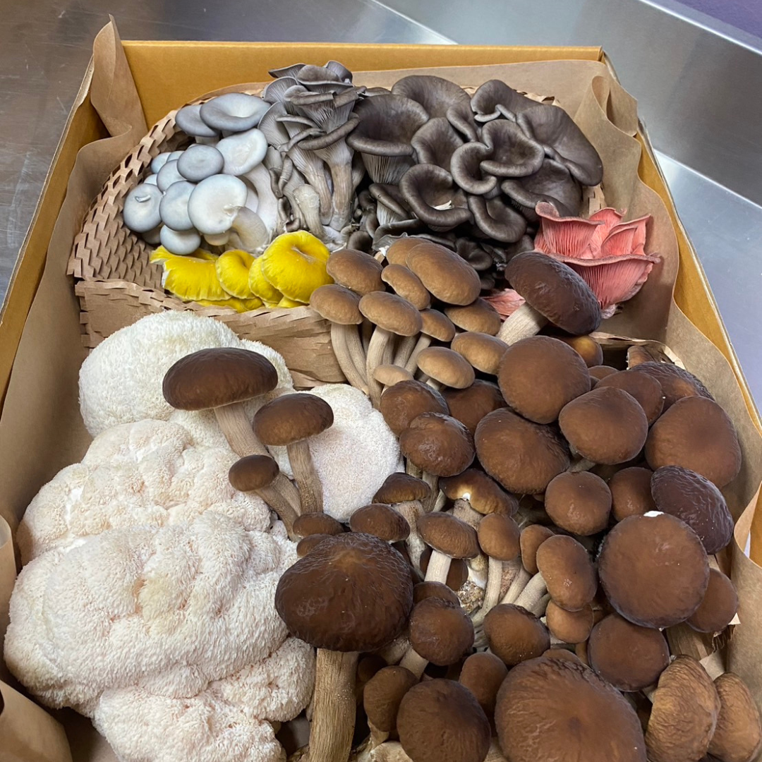 Grower's Choice Mixed Mushroom Box